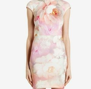 Ted Baker Dress
